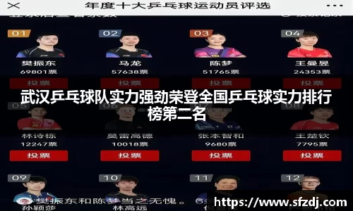 武汉乒乓球队实力强劲荣登全国乒乓球实力排行榜第二名